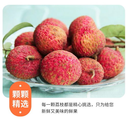 高州白糖罌荔枝 當季鮮果，滋味直達——5斤裝整箱批發品鑒